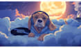 create lofi, anime style illustrations and animated loops, twitch alerts