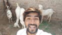 wish happy birthday and sing song with my goats
