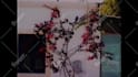 edit a retro aesthetic music video using real vhs footage