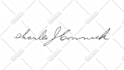 create animated handwritten signature or text logo animation