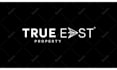 create a professional and custom logo animation