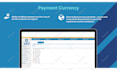 design high impact animated powerpoint presentation for pitch or training