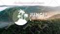 create professional custom logo animation