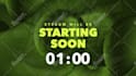create animated countdown timer video up to anytime