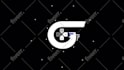 create a professional logo animation with a custom  reveal in 24 hours