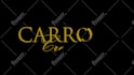 professionally animate your text or  signature photography logo