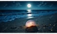 do relaxing beach cafe video, loop animation and ocean waves