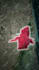 be your geolayers map animator, editor and videographer