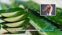 edit health and wellness youtube videos