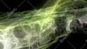 create audio reactive visualizers for your music using touchdesigner