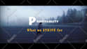 create professional powerpoint presentations and pitch decks