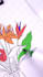 make coloring page video for youtube , amazon page tiktok