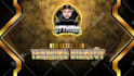 design professional animated obs overlay, twitch package, logo, kick stream