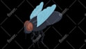 produce a 2d character animation video for your business