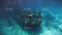 edit your underwater videos with color grade