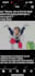 edit any video,cut,adjust color,change,sound using premiere