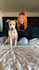 do authentic ugc dog content videos for your brand
