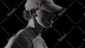 do vfx, rotoscoping, roto, green screen remove professionally