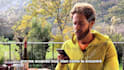 do professional youtube video editing within 24 hours