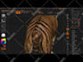 design 3d model by your request