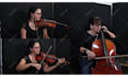 record live strings for you violin, viola, cello, contrabass