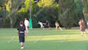 make a professional highlight video for soccer players