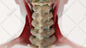 create 3d medical animation and illustration