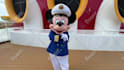 create a custom disney cruise trip reveal