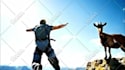 create professtional business, marketing 2d animate videos