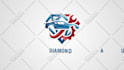 do a professional custom animation for your logo in 24 hours