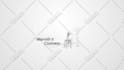 create professional custom 2d logo animation