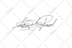 do animation of your custom handwritten signature style logo