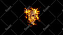 do professional vfx and video editing