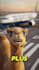 make realistic ai ugc video ads with avatars