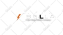 create a custom logo animation or animated intro video