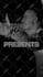 edit cinematic music videos for artists and rappers