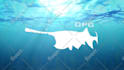 do water splash logo animation video intro