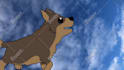 create custom hand drawn animation for a one of a kind video