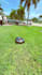 remove video green background moving object, rotate logo and watermark