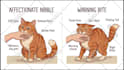create 2d animated cat videos like felune