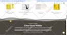 design professional shopify store, shopify website