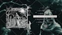 make full stream audio visualizer for a whole album