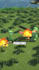 create minecraft shorts that beat the youtube algorithm