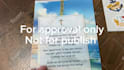 create an amazon influencer shoppable review video for your product
