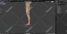 do professional 3d rigging in blender and maya