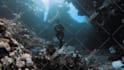 enhance and color grade your underwater video