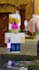 create professional minecraft animations