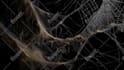 add motion to your still image picture, animate artwork