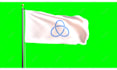 make an professional flag animation video with your logo