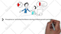 make professional whiteboard business explainer video